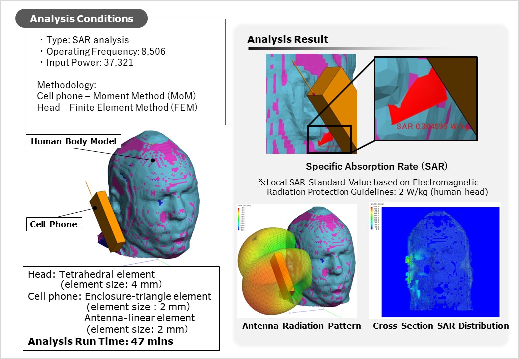 Specific Absorption Rate Analysis
